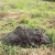 San Lorenzo Mole Control by Mole Busters LLC